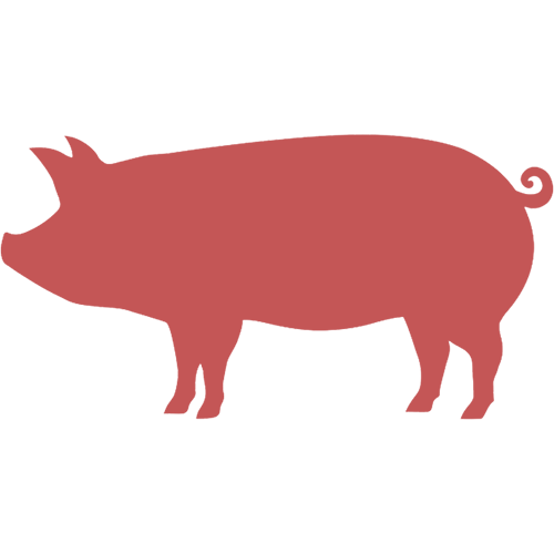 Pork